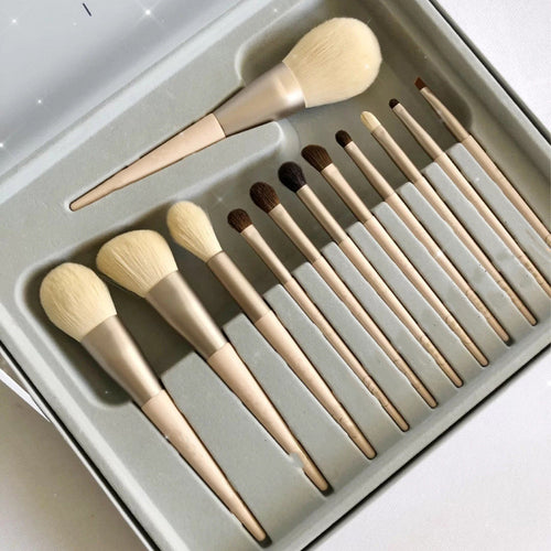 12 Makeup Brushes Set
